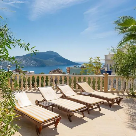 Kiwi * Kalkan
