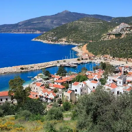 Kiwi * Kalkan